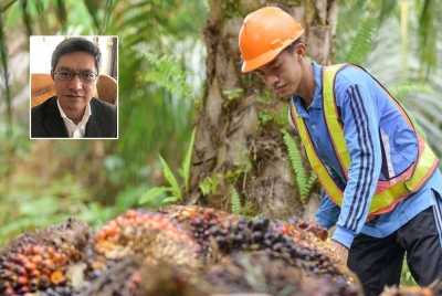 Advokasi Perusahaan dan Industri gesa peniaga pasar raya dan peruncit hentikan jualan barangan berlabel 'tanpa minyak sawit' atau bakal berdepan tindakan undang-undang. Gambar kecil: Fazli