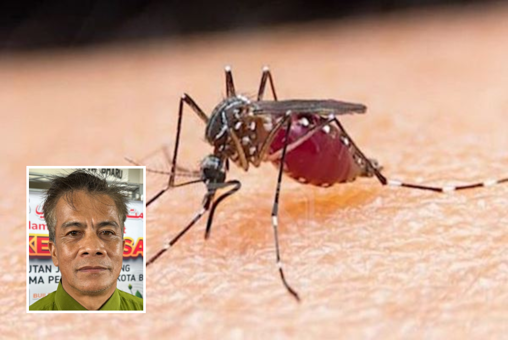Kelantan mencatat dua kes kematian akibat demam denggi. - Gambar hiasan Gambar kecil: Dr Zaini