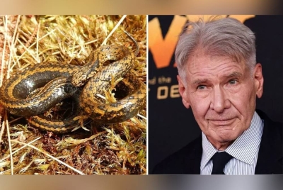 Ford bersetuju untuk namanya digunakan melalui perundingan yang dibuat oleh Conservation International. - Agensi