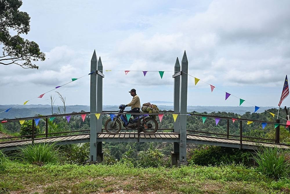 Pekebun Matjed Ismail, 39, melintasi jambatan bermotosikal dengan muatan durian selepas kerja-kerja mengutip buah itu dari kebunnya untuk dijual kepada pelanggan di Kampung Sungai Serai hari ini.