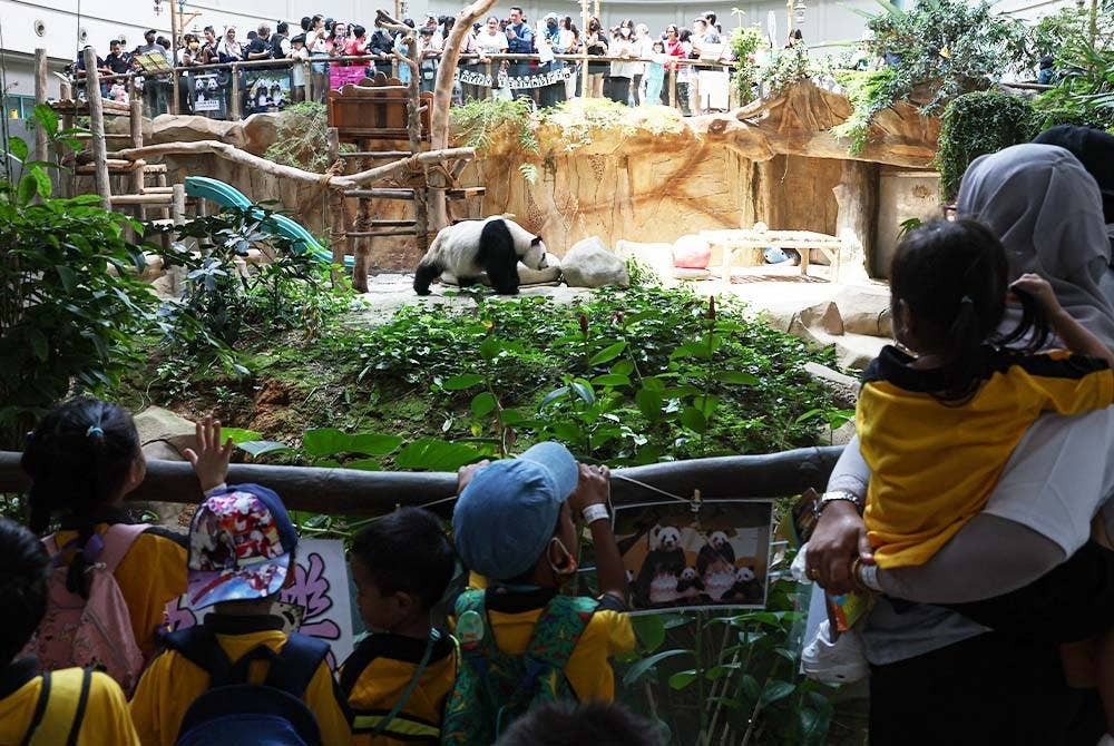 Orang ramai turut memeriahkan sambutan hari jadi Fu Wa dan Feng Yi. - Foto Bernama