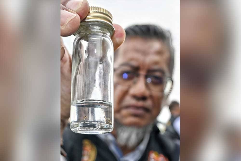 Dr Rusdi menunjukkan beberapa ekor jentik-jentik yang ditemui ketika pemeriksaan dilakukan di sebuah kedai tayar di Paya Rumput, di sini, pada Rabu.