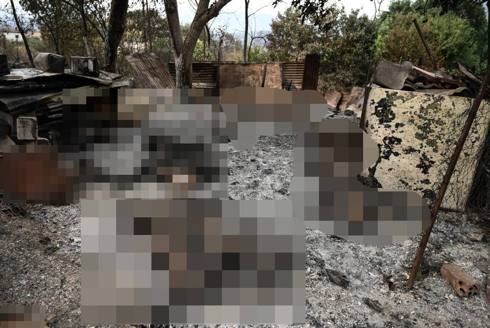Bangkai haiwan ternakan ditemui rentung dalam kebakaran di perkampungan Kirki berhampiran Alexandroupoli di Athens.