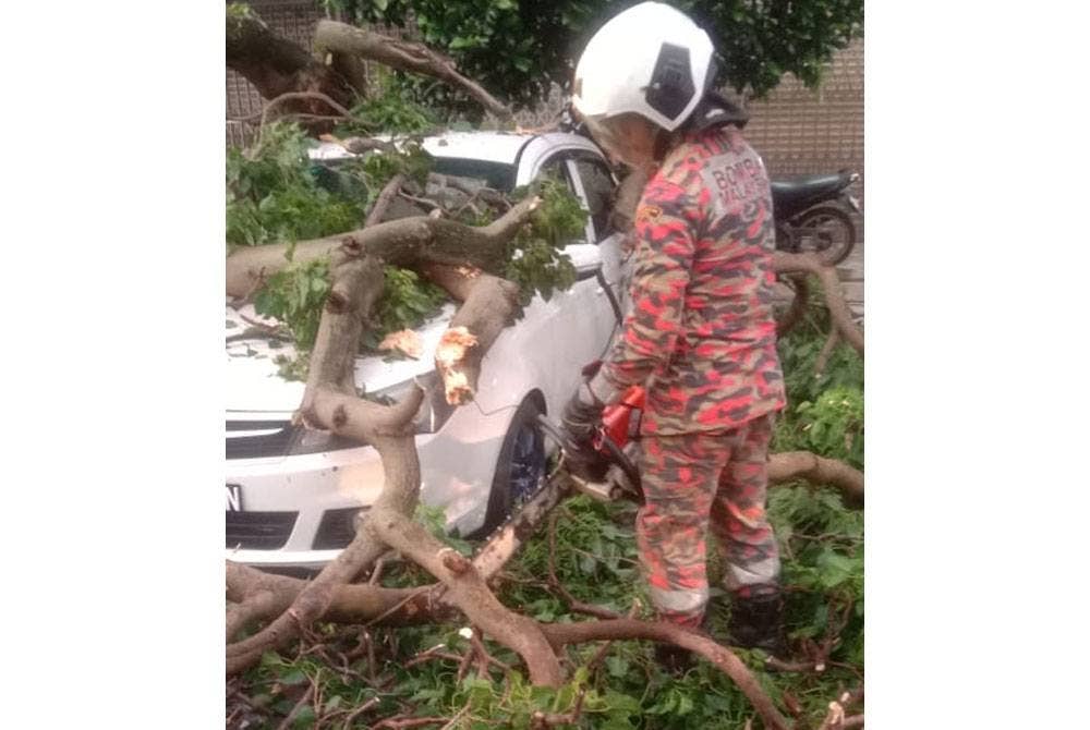 Anggota bomba dan penyelamat mengalihkan dahan pokok tumbang di sebuah pangsapuri Taman Bukit Serdang di Serdang pada Ahad.