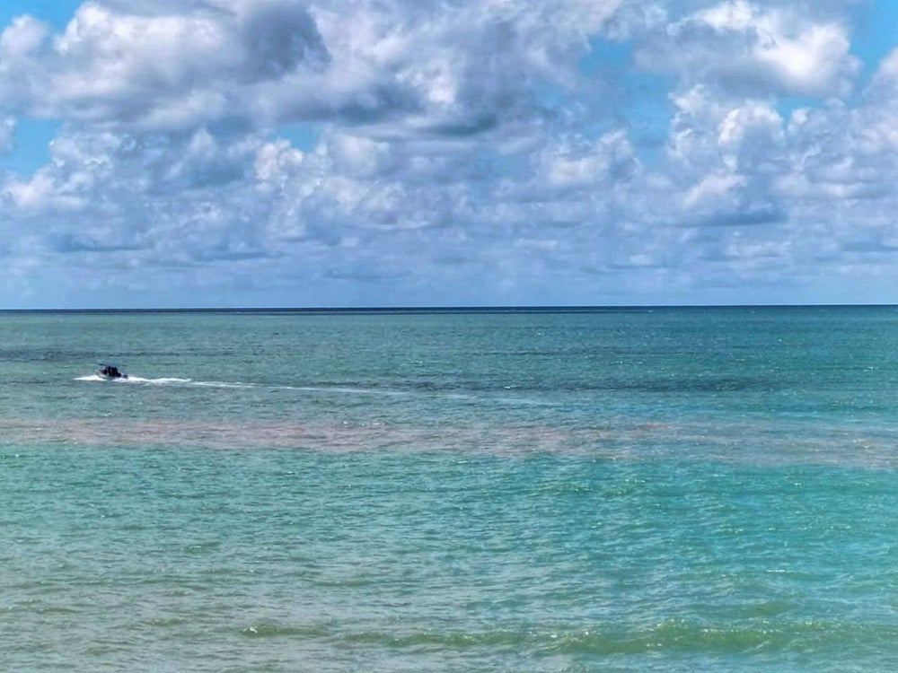 Air pasang merah didapati berlaku sejak dua hari lalu di Balik Pulau dan Teluk Bahang.