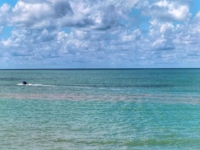 Air pasang merah didapati berlaku sejak dua hari lalu di Balik Pulau dan Teluk Bahang.