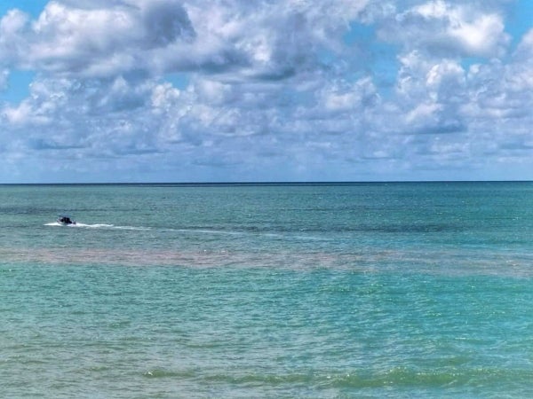 Air pasang merah didapati berlaku sejak dua hari lalu di Balik Pulau dan Teluk Bahang.