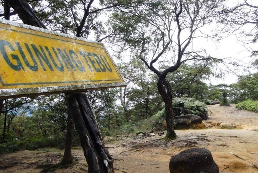 Tiga lelaki dikhuatiri sesat selepas gagal turun ke kaki gunung ketika melakukan aktiviti pendakian di Gunung Tebu di Jabi, dekat sini, pada Jumaat. - Gambar hiasan