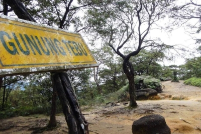 Tiga lelaki dikhuatiri sesat selepas gagal turun ke kaki gunung ketika melakukan aktiviti pendakian di Gunung Tebu di Jabi, dekat sini, pada Jumaat. - Gambar hiasan