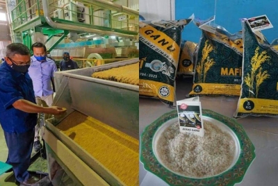 (Gambar kiri) Azman meninjau proses membuat beras di kilang. (Gambar kanan) Beras Ganu - Foto Facebook Dr Azman Ibrahim