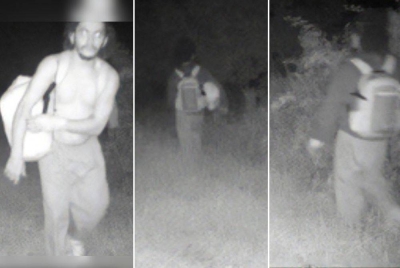 Kelibat Cavalcante berjaya dirakam kamera keselamatan di Taman Longwood di Kennett Square, Pennsylvania, pada 4 September lalu. - Foto AFP