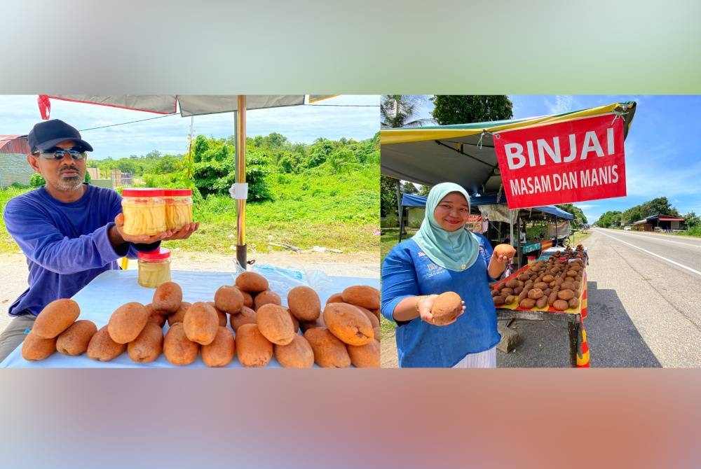 Penoreh getah, Baharin sentiasa menantikan musim buah binjai untuk mendapat pendapatan lebih. Azlinawani sanggup menutup sementara waktu kedai jualan nasi ayam penyetnya semata-mata untuk menjual buah binjal.