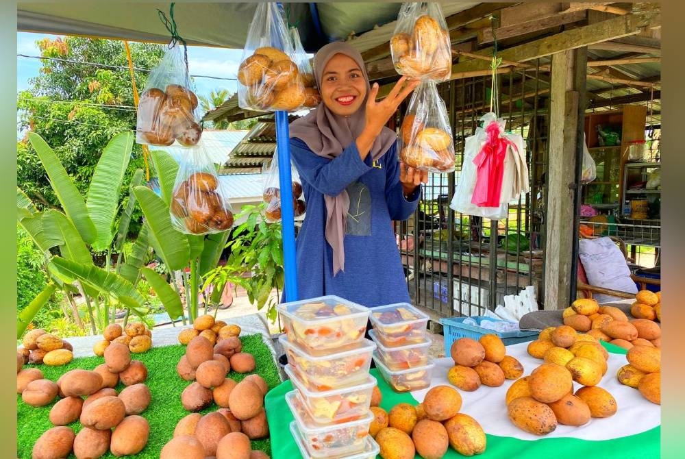 Nik Azirah mampu menjual lebih 1,000 sebiji binjai sehari.
