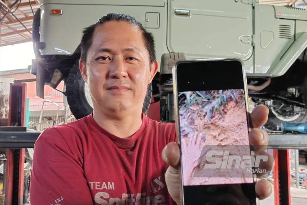 Sheau Hoong menunjukkan gambar tapak harimau yang sempat dirakam di kebun duriannya di Ulu Piah pada Ahad.