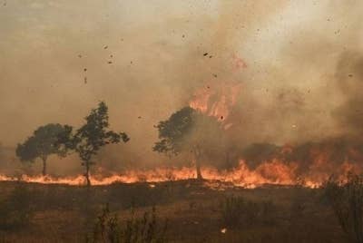 Operasi pemadaman kebakaran di hutan gambut di Kompartment 99 Hutan Simpan Raja Musa, Bestari Jaya, Kuala Selangor yang berlaku sejak semalam sedang giat dijalankan. - Gambar hiasan