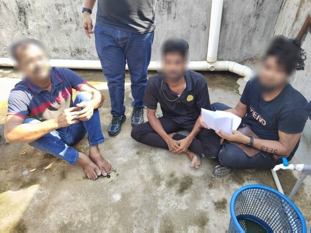 Sindiket menyasarkan PATI berasal dari India yang ingin memasuki negara ini untuk merebut peluang pekerjaan secara haram.