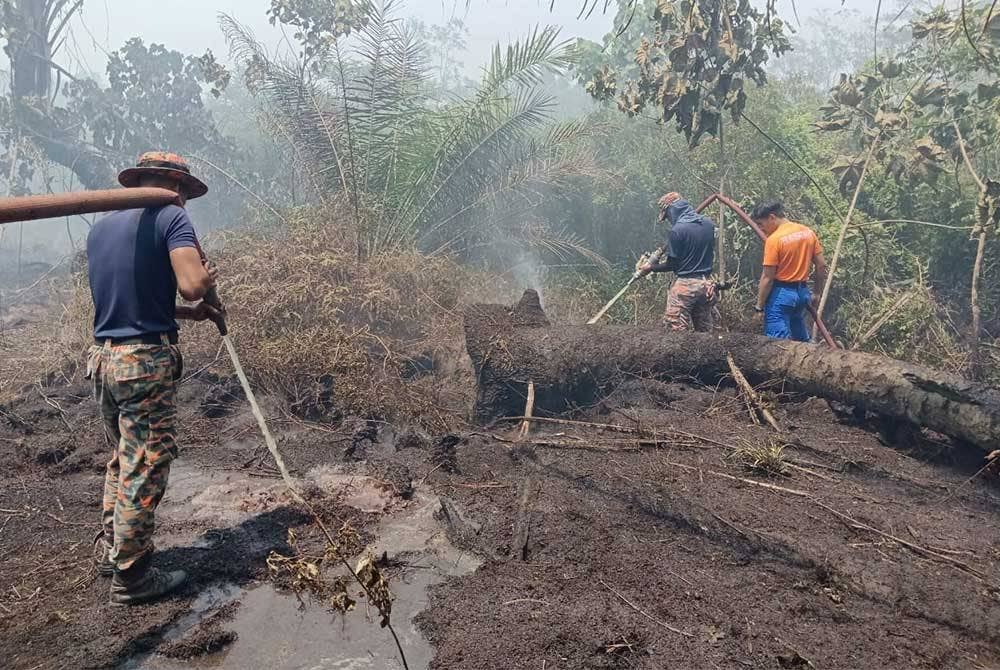 Masih terdapat baki lapan hektar kebakaran di hutan gambut di Kompartment 99 Hutan Simpan Raja Musa, Bestari Jaya, Kuala Selangor yang memasuki hari ketiga, pada Sabtu. - Facebook JBPM Selangor