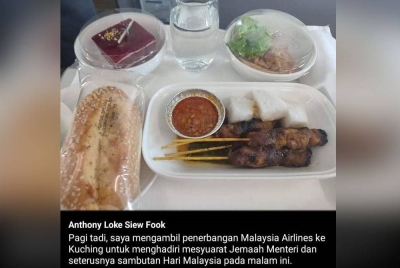 Anthony Loke berkongsi gambar hidangannya di dalam pesawat.