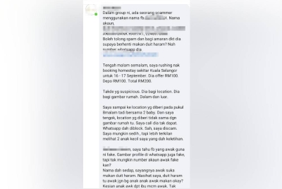 Tangkap layar komen Nurul Aneeyamirah selepas menjadi salah seorang mangsa scammer yang menawarkan penginapan di sebuah inap desa di daerah Kuala Selangor pada Sabtu lalu.