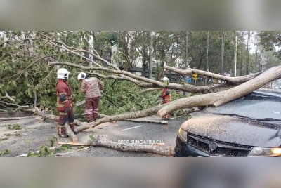 Anggota bomba menjalankan kerja mengalihkan pokok tumbang di Persiaran Perdana Bandar Sri Damansara pada Selasa. - Foto BBP Sungai Buloh