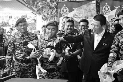 Blake antara empat anjing unit K9 JBPM diberikan pingat 'Golden Performance' kerana peranan dalam operasi mencari dan menyelamat mangsa tragedi tanah runtuh Batang Kali di Selangor pada 16 Disember lalu.
