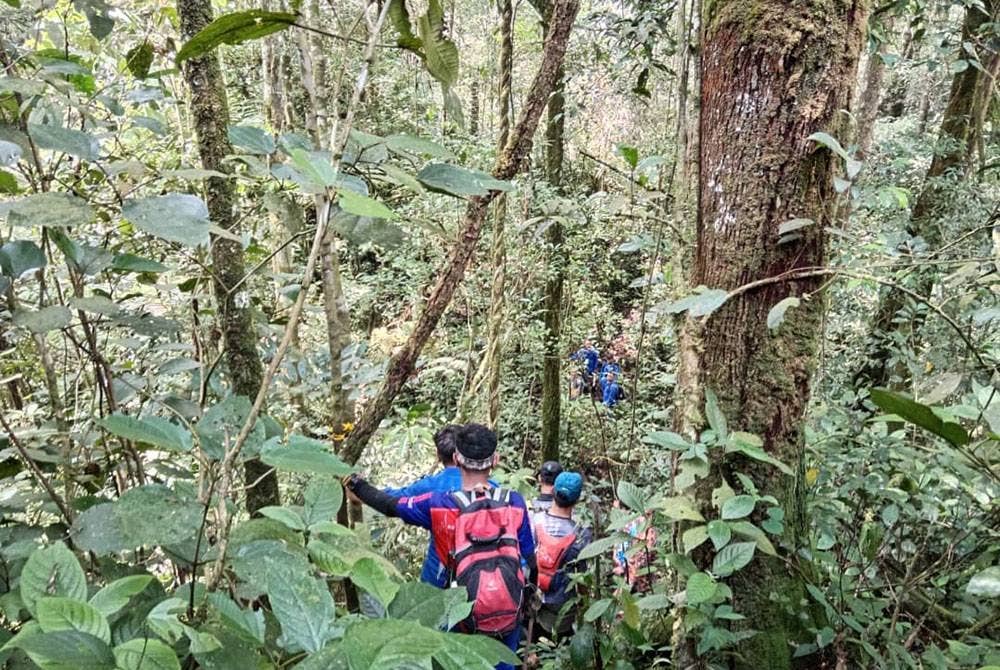 Operasi SAR pelancong warga India yang hilang di Gunung Jasar, Tanah Rata di sini diteruskan pada Jumaat dengan fokus pencarian di kawasan anak sungai dan cerun bukit.