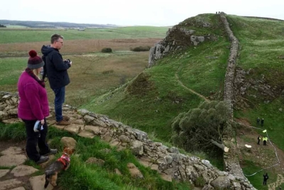 Seorang lagi ditahan kerana disyaki menebang pokok Sycamore Gap berusia 300 tahun di utara England, kata polis pada Jumaat. Foto Reuters