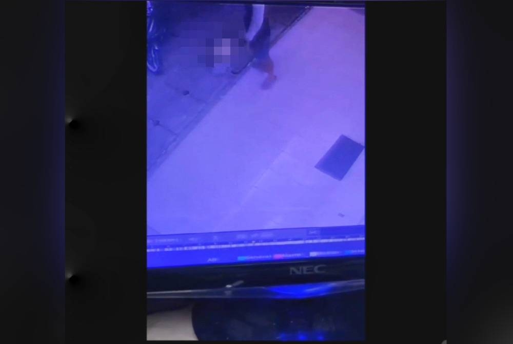 Rakaman video di aplikasi X yang memaparkan seekor kucing liar dianiaya oleh seorang individu pada Khamis.