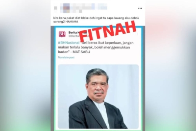 Poster tular memaparkan Mohamad berkaitan isu pembelian beras dan kegemukan adalah satu fitnah.