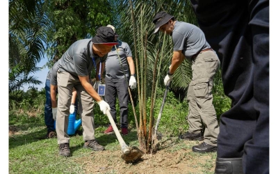 Abdul Rahman menanam anak pokok berembang dalam program penanaman 327 pokok anjuran KSSB di Pusat Konservasi Kelip-kelip Sungai Panjang 3.0, baru-baru ini.