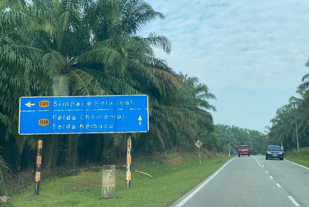 DUN Pelangai mempunyai keunikan apabila masyarakatnya terdiri daripada mereka yang berasal dari luar Pahang khususnya penduduk di tiga tanah rancangan Felda.