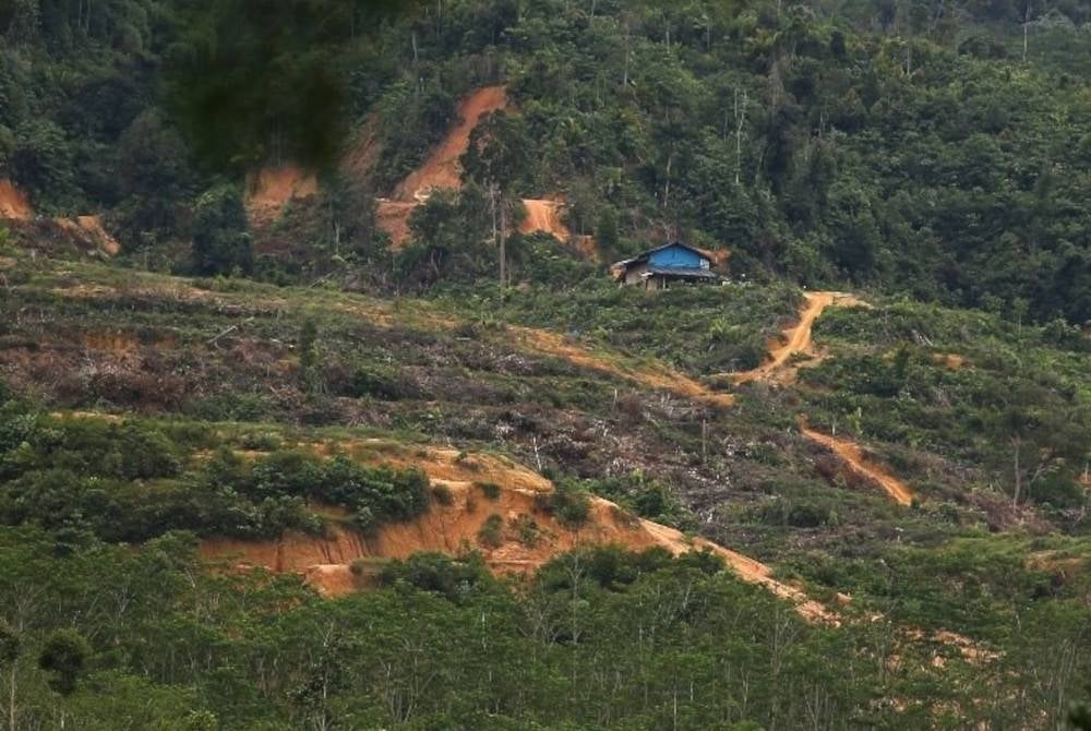 Hutan Simpan Bukit Enggang, Sik yang diceroboh sebelum ini dijadikan projek perintis kajian REE bagi melihat kesan aktiviti perlombongan