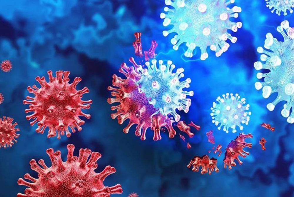 Penularan penyakit X boleh berasal dari pelbagai sumber termasuklah secara zoonotik, iaitu jangkitan dari haiwan kepada manusia. - Gambar hiasan