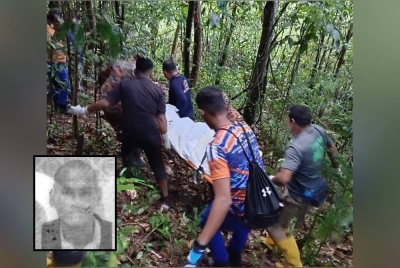 Mayat mangsa selepas berjaya dibawa turun dari pokok dokong di kampung Dusun Beliku, Jertih, di Besut. - Foto Ihsan BOMBA. Gambar kecil: SAA'RI