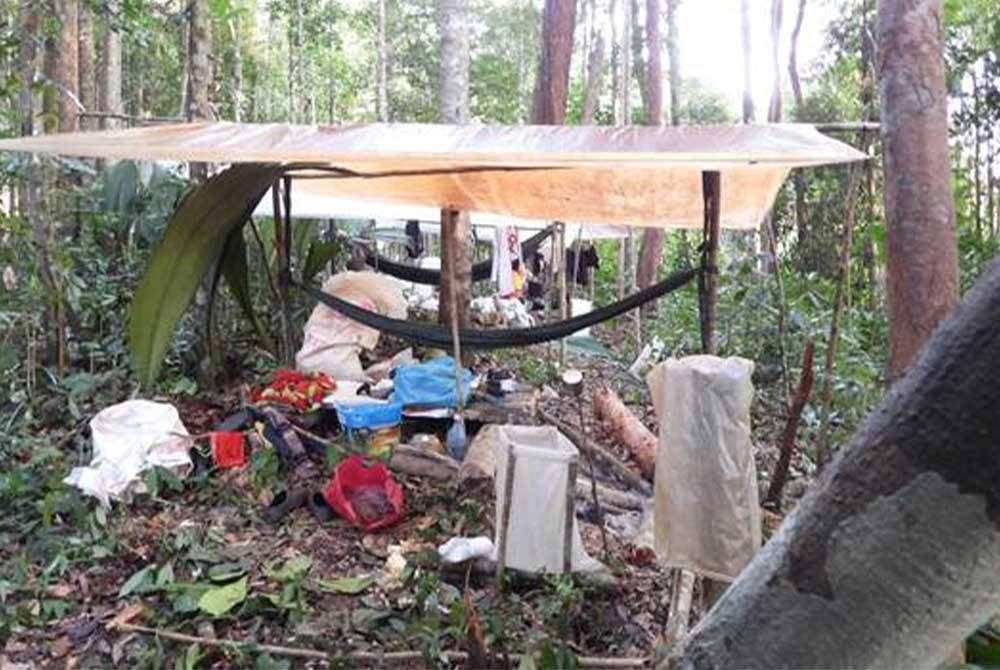 Khemah haram dipercayai didirikan warga asing untuk memburu hidupan liar.