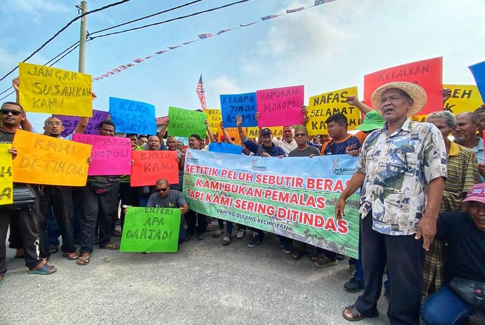 Hampir 100 petani turun padang menyatakan keridakpuasan hati mereka terhadap harga padi yang terlalu rendah.