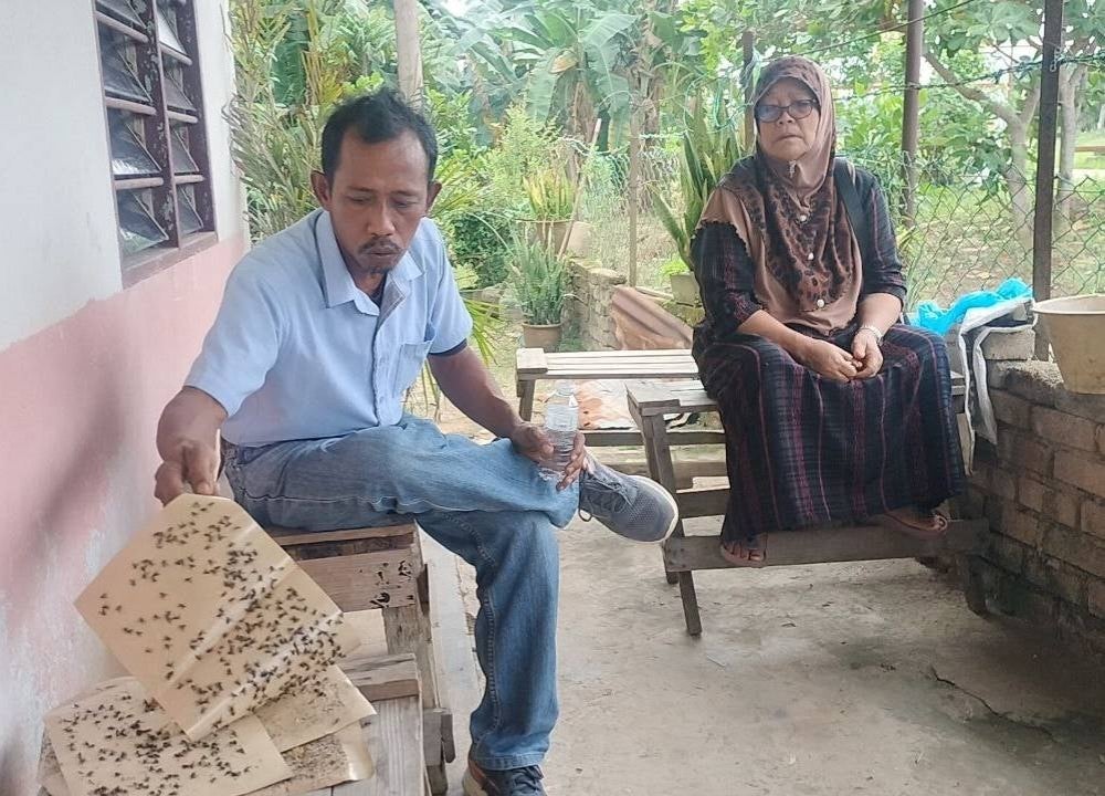 Azhar dan Siti Hawa menunjukkan kehadiran lalat yang banyak menganggu kehidupan seharian penduduk.