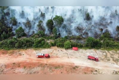 Jabatan Bomba dan Penyelamat Johor berjaya memadam kebakaran membabitkan 32 hektar kawasan hutan di Bypass Sebana Cove-Punggai yang terbakar sejak Ahad.