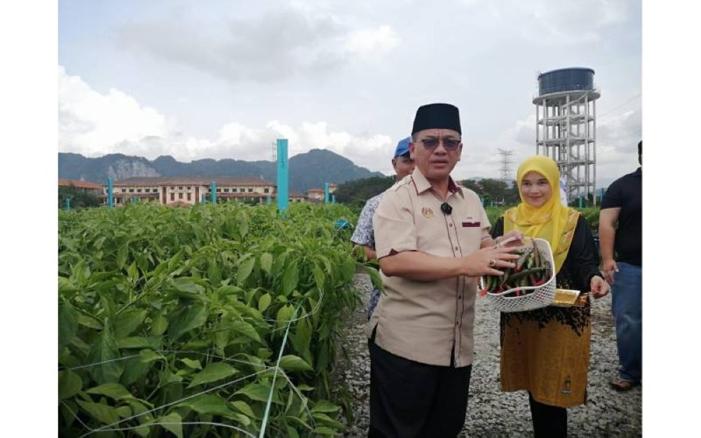 Mohd Na'im (dua dari kiri) dan Mohd Nizam (kiri) bersama salah seorang peserta menunjukkan hasil cili fertigasi di bawah Projek Kebun Bandar MAIWP.