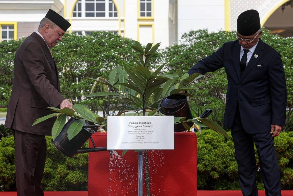 
Al-Sultan Abdullah (kanan) dan Sultan Ibrahim berkenan menyempurnakan majlis penanaman pokok Mentega di pekarangan Istana Negara pada Rabu. - Foto Bernama