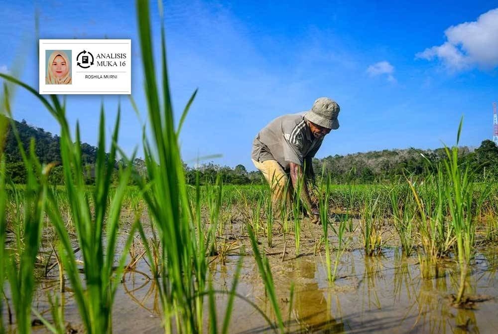 Masih banyak isu pesawah yang perlu diberi perhatian oleh kerajaan. - Gambar hiasan