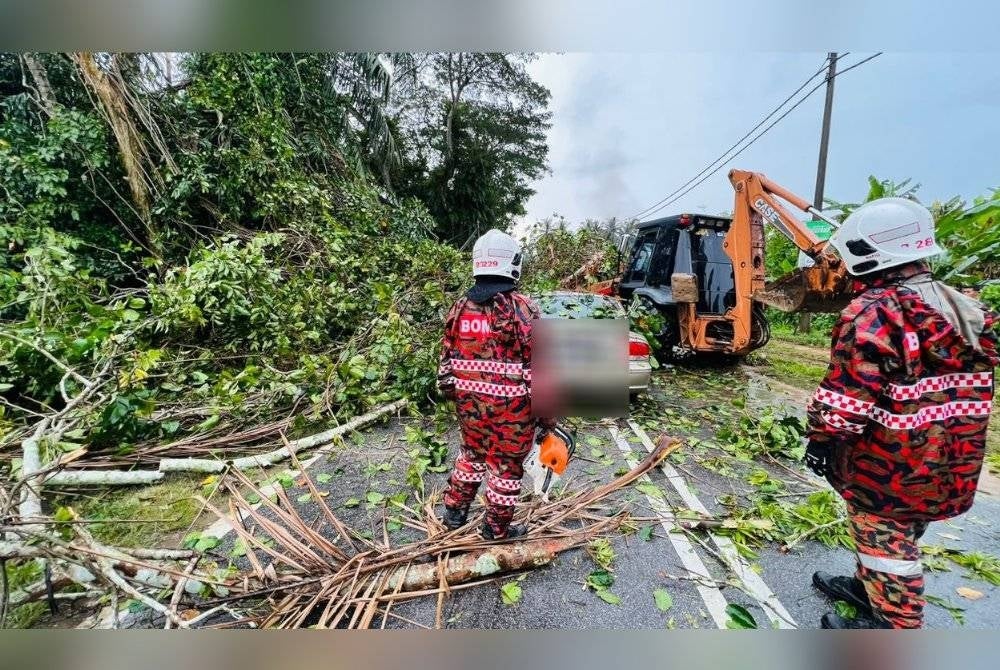 Pusat Gerakan Operasi menerima panggilan kecemasan pokok tumbang dan menghempap kereta pada jam 3.20 petang. - Foto bomba