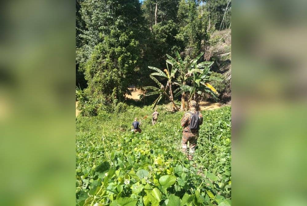 Operasi SAR mengesan warga emas hilang diperluaskan sehingga 10 kilometer. - Foto Bomba
