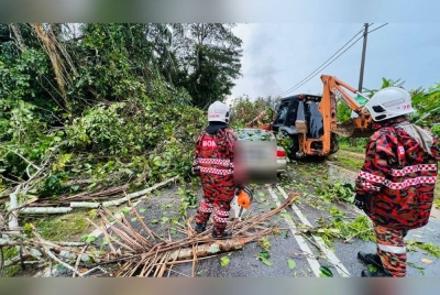 Pusat Gerakan Operasi menerima panggilan kecemasan pokok tumbang dan menghempap kereta pada jam 3.20 petang. - Foto bomba