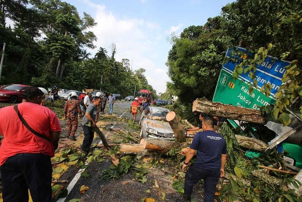 Bomba sedang melakukan kerja-kerja pembersihan pokok tumbang