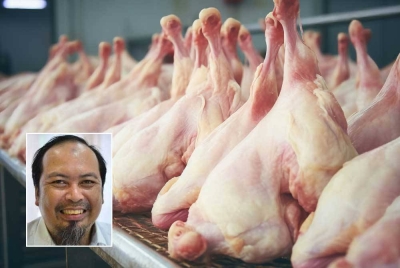 Keputusan kerajaan melepaskan harga siling ayam sebagai langkah melaksanakan subsidi bersasar bukan langkah penjimatan perbelanjaan kerajaan semata-mata. - Foto 123RF (Gambar kecil: Ahmed Razman)
