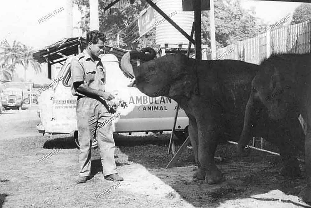 Unit Kebajikan Gajah dilatih menggunakan teknik melasikar atau lasso iaitu teknik menangkap gajah menggunakan tali lasso atau tali jerut.