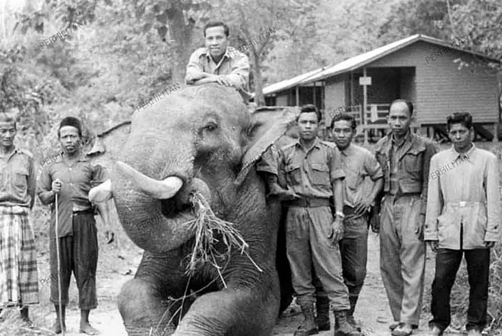 Unit Kebajikan Gajah yang ditempatkan di Temerloh, Pahang dilatih oleh enam gembala gajah atau mahut dari Assam, India pada 1974.