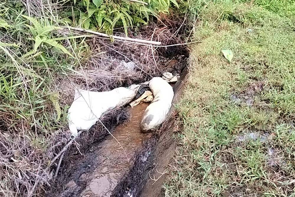 'Oil boom' yang diletakkan JAS Johor di dalam saliran berhampiran anak Sungai Tebrau.