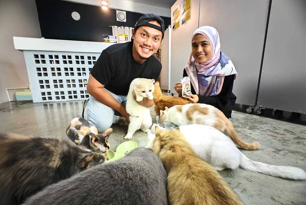Muhammad Syafiq dan Nazatul Faseha menyediakan lebih 20 ekor kucing untuk 'melayan' pelanggan.